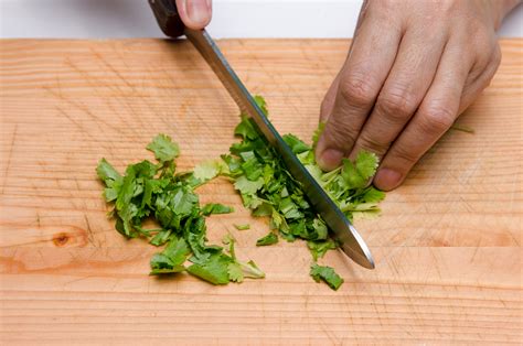 How to chop cilantro - Nov 23, 2017 · Step 2: Rinse the cilantro. Take the entire bunch of the stuff and rinse it under cold water directly from the top. Give the bunch a turn and a tussle every now and then. 